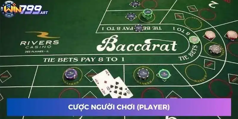 Cược Người chơi (Player)