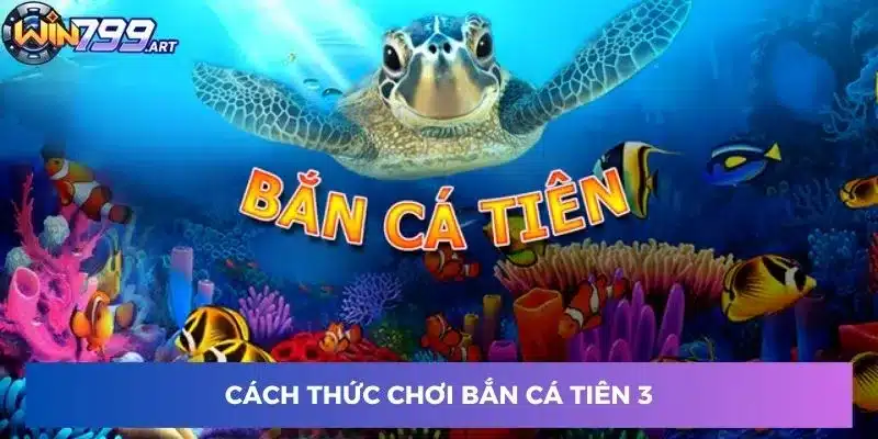 Cách thức chơi