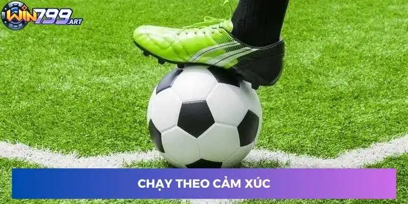 Chạy theo cảm xúc