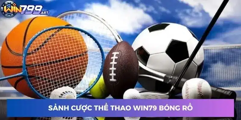 Sảnh cược thể thao Win79 bóng rổ