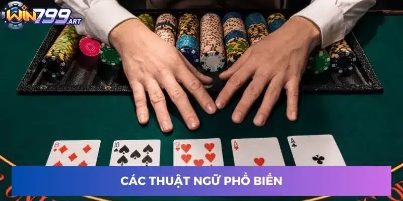 Các thuật ngữ phổ biến